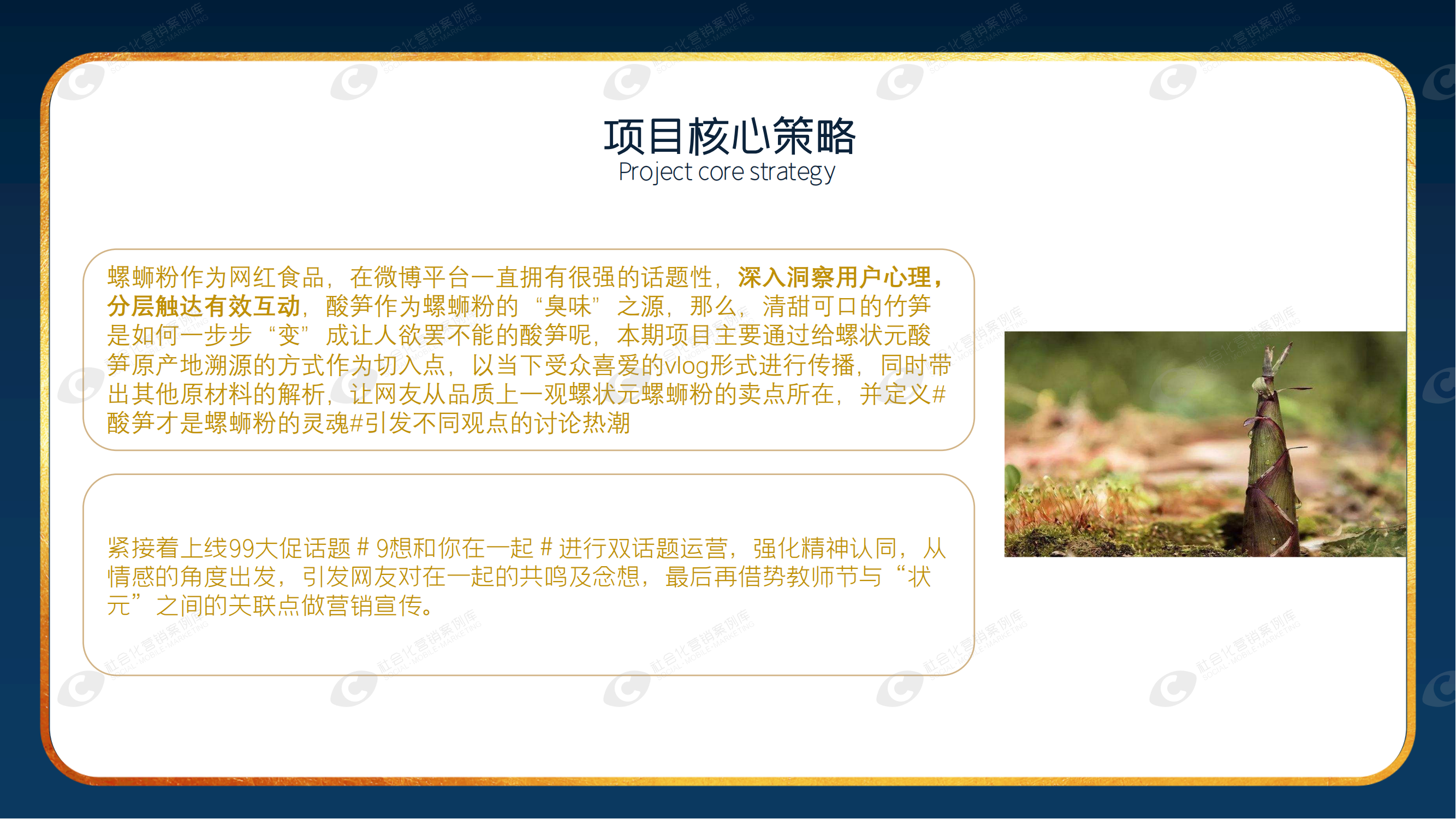 杏彩体育注册_杏彩体育(中国)官方网站